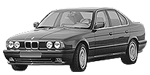 BMW E34 P1177 Fault Code